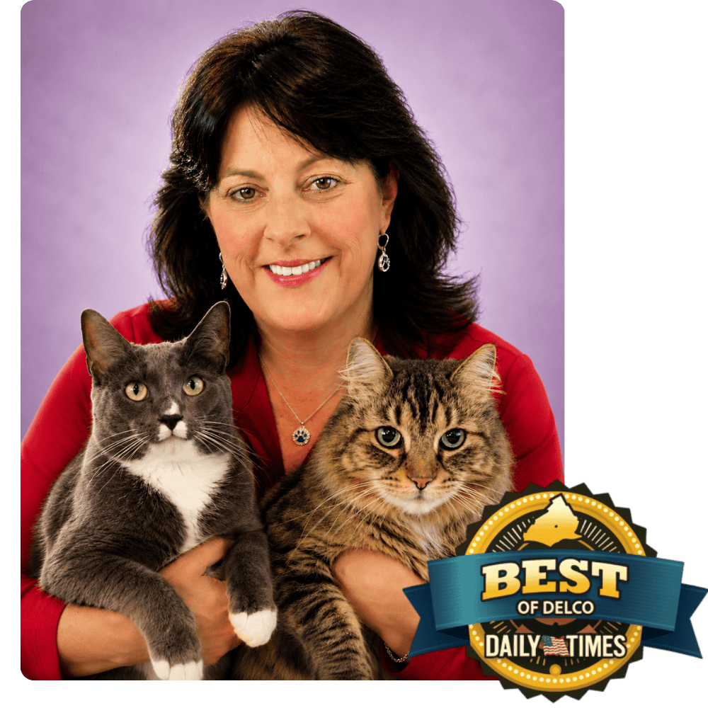 Professional Pet Sitting and Dog Walking in Media, PA best of delco daily times with her 2 cats
