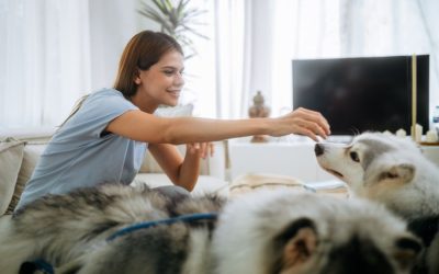 How to Prepare Your Home and Pets for a Pet Sitter