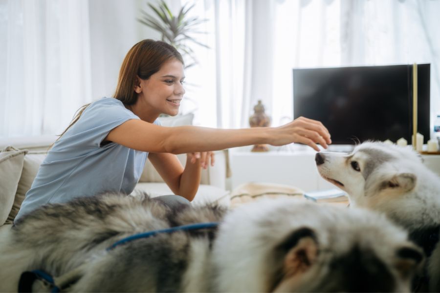 How to Prepare Your Home and Pets for a Pet Sitter