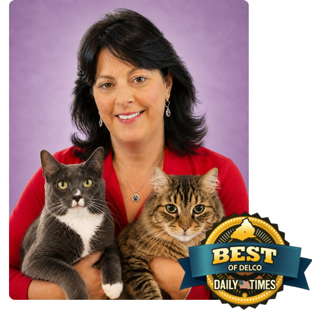 Professional Pet Sitting and Dog Walking in Media, PA best of delco daily times with her 2 cats